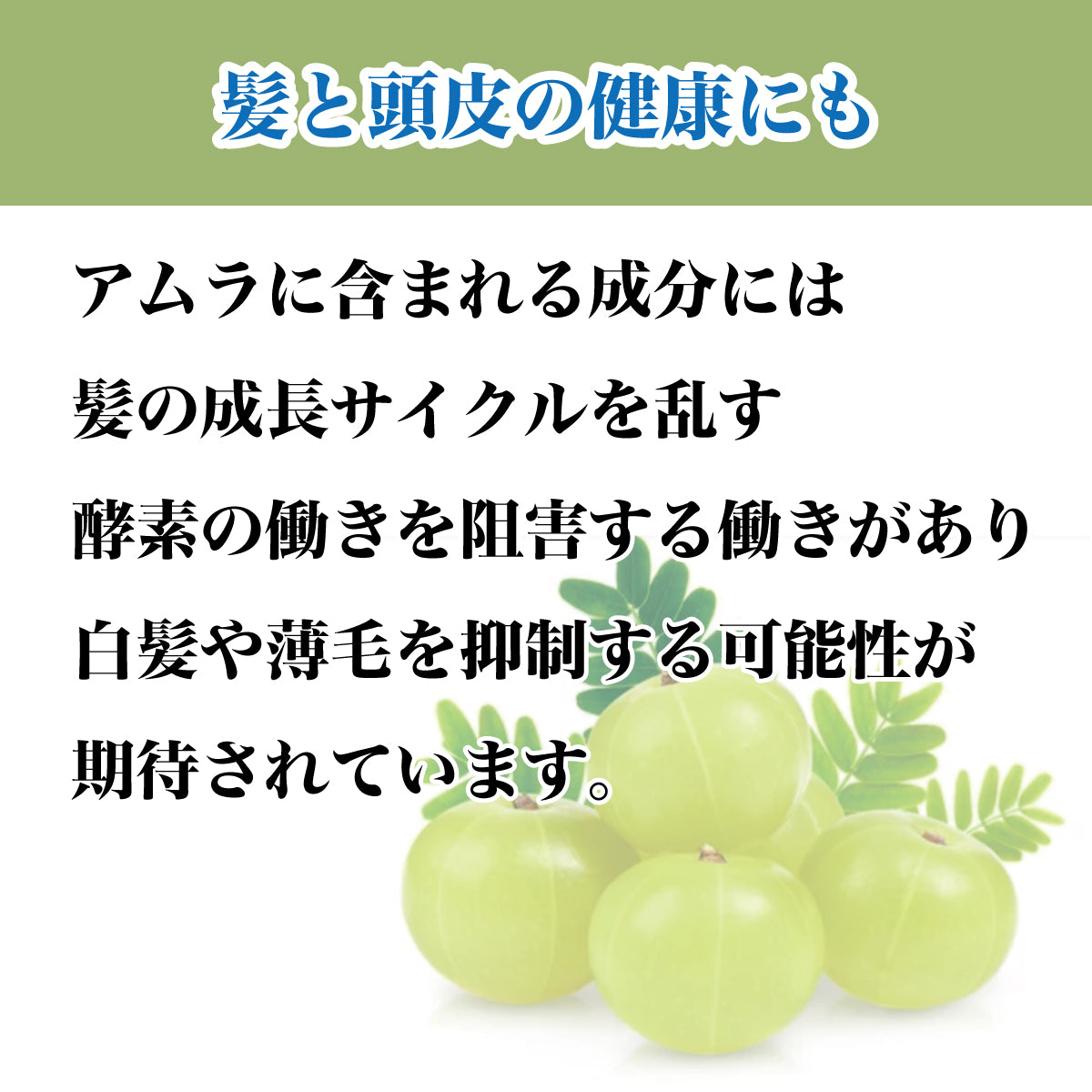 アムラパウダー【食用】 150g 約50日分